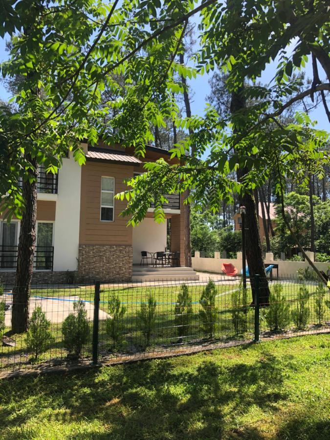 Vip Sweet Home In Shekvetili 外观 照片